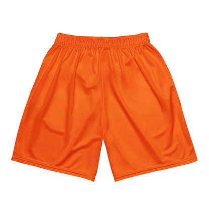Austin Rose | Jersey Style Mesh Shorts