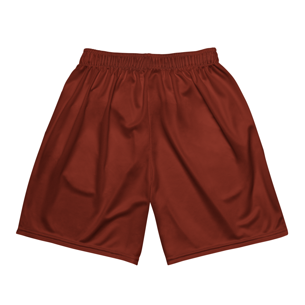 Anthony Wyde | Jersey Style Mesh Shorts