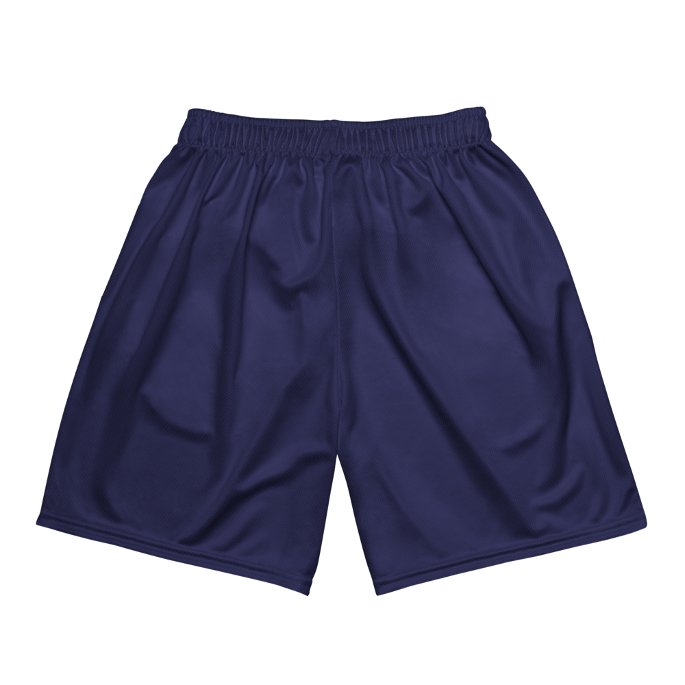 Terik Streets | Jersey Style Mesh Shorts