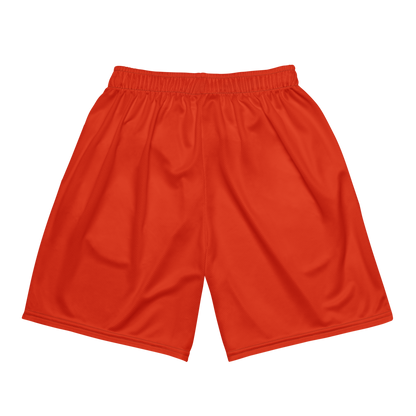 Hezikyah Latini | Jersey Style Mesh Shorts