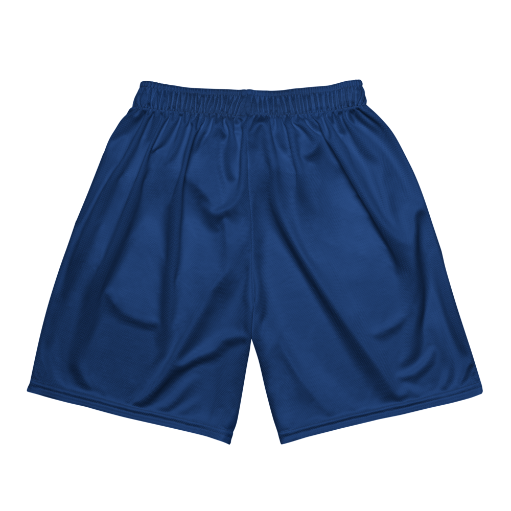 Brohns Donaldson | Jersey Style Mesh Shorts
