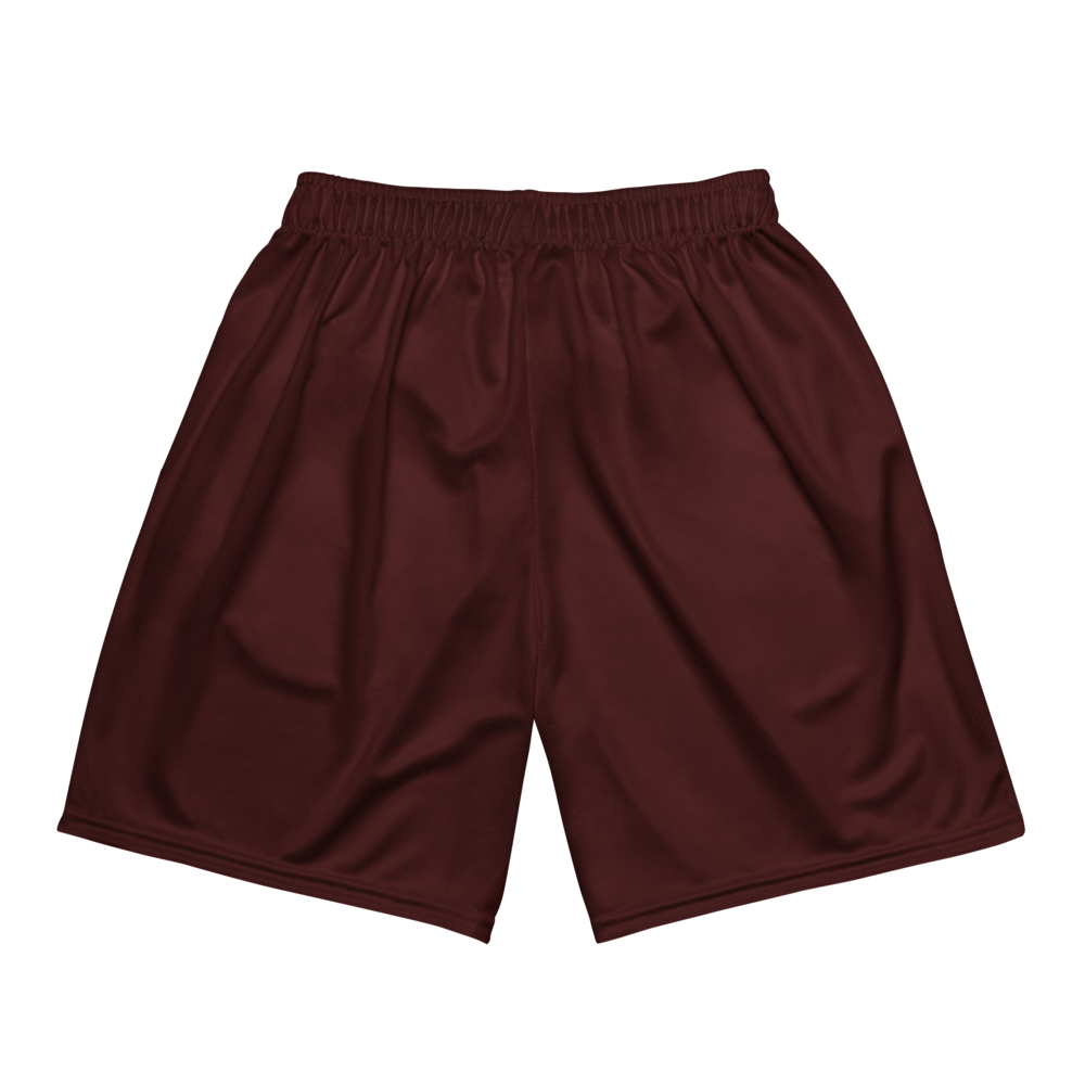 Lane Parker | Jersey Style Mesh Shorts