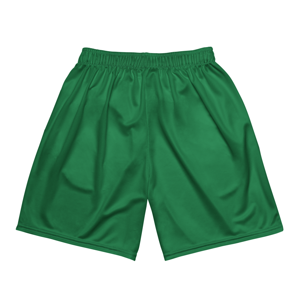 McIntosh High School | Jersey Style Mesh Shorts