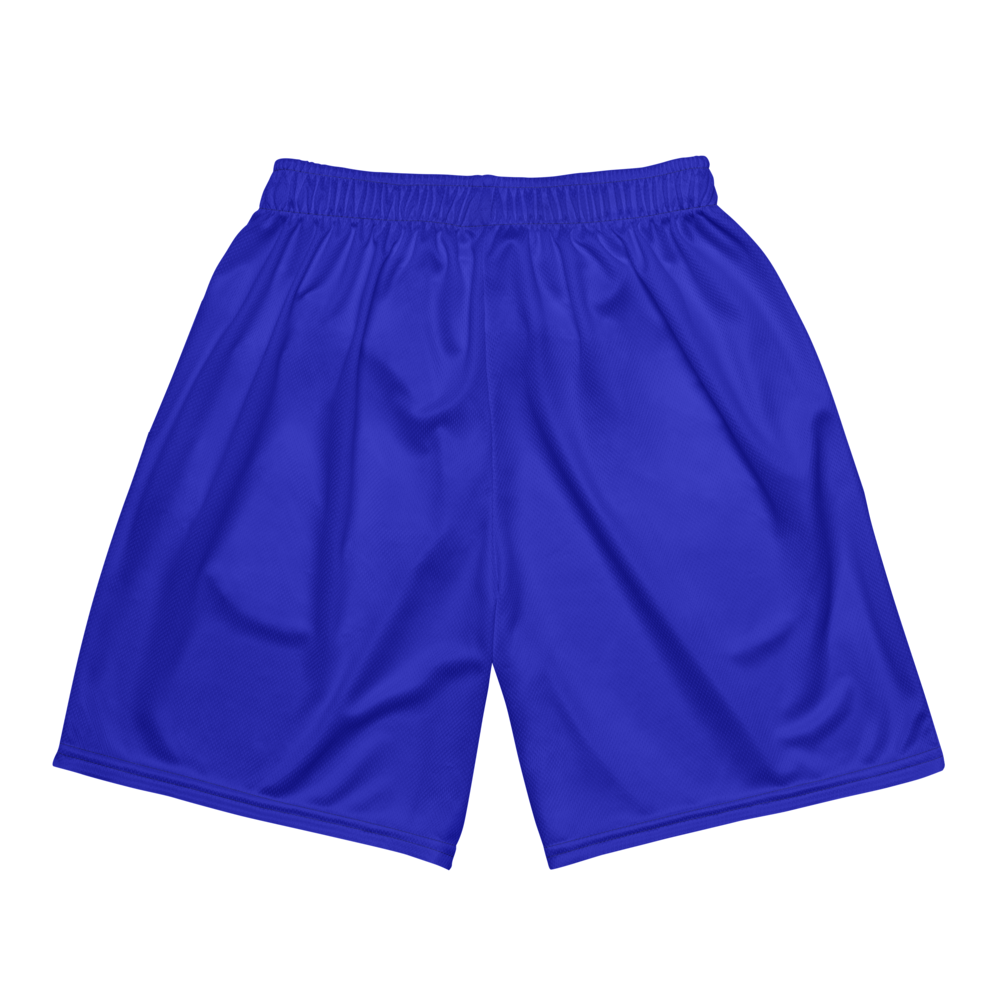 Avin Hartmann | Jersey Style Mesh Shorts