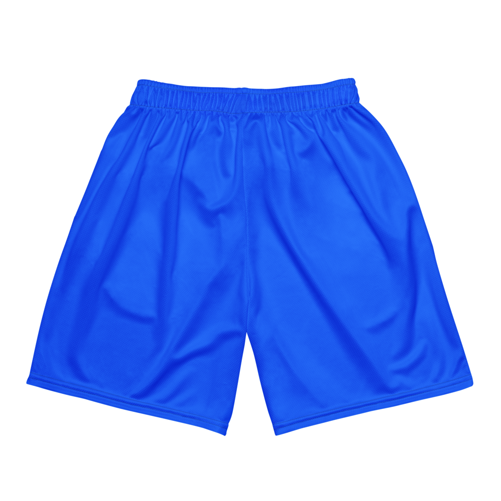 Damarri Young-Grant | Jersey Style Mesh Shorts