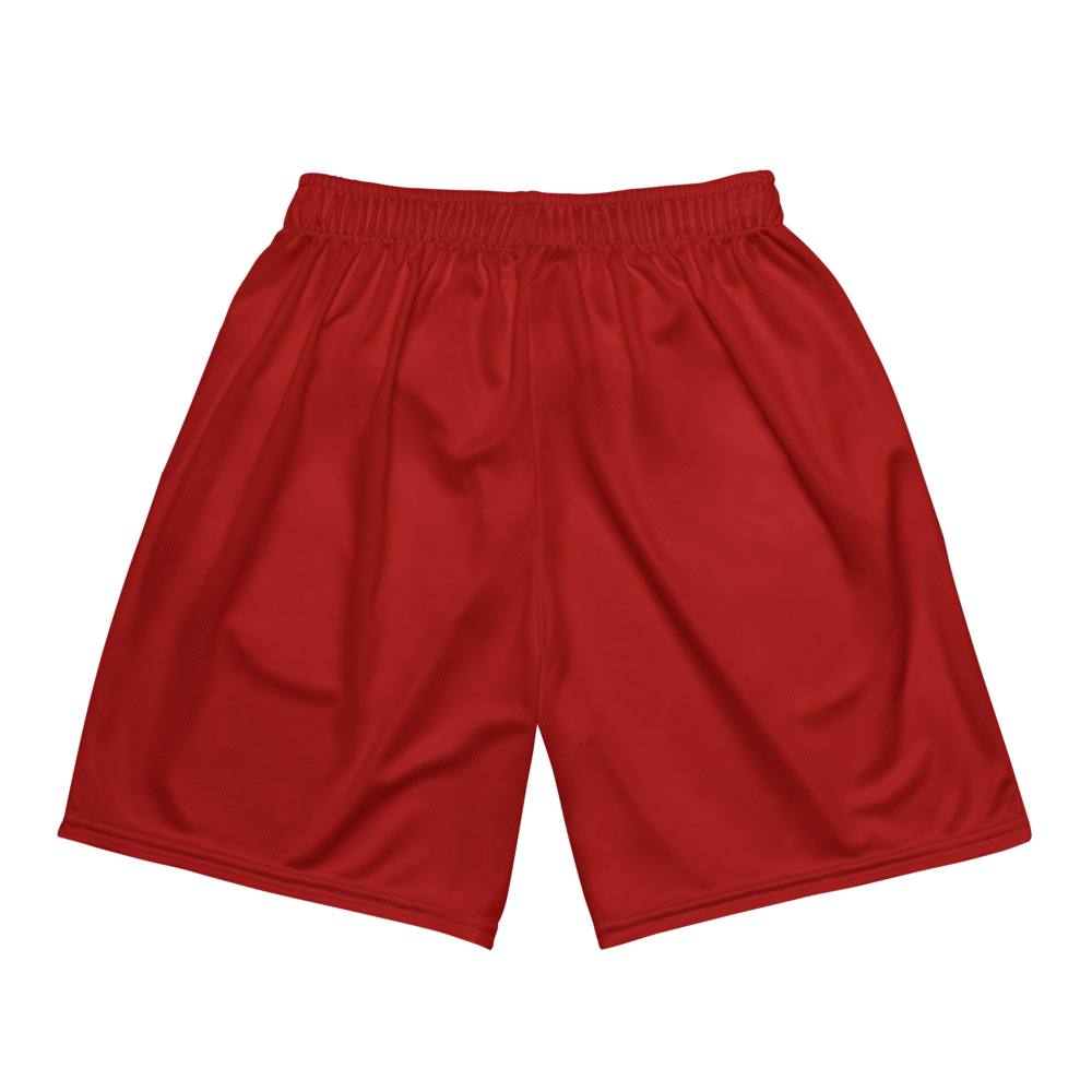Trey Stevens | Jersey Style Mesh Shorts