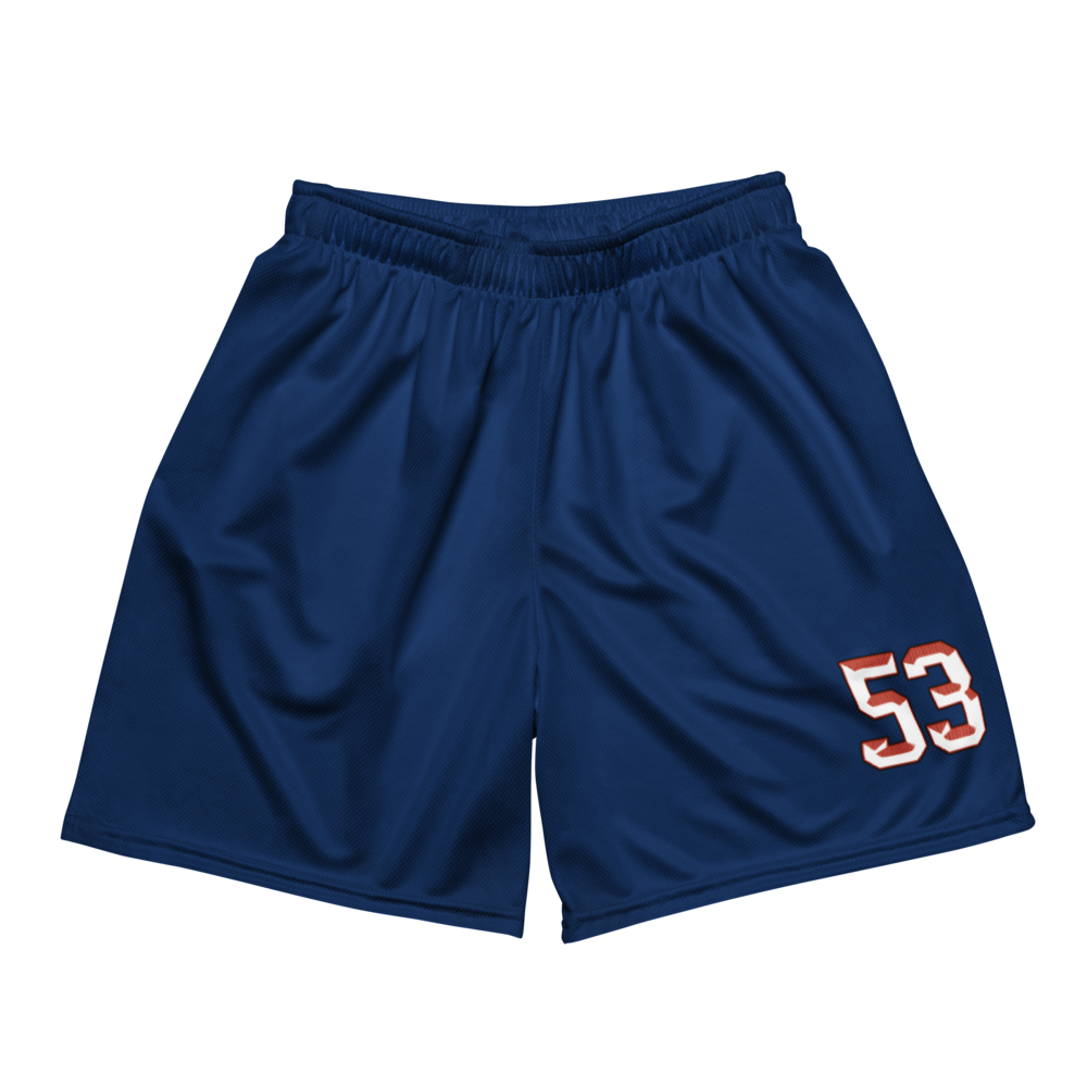 Matthew Brooks | Jersey Style Mesh Shorts
