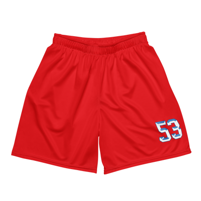 Isaac McCory | Jersey Style Mesh Shorts