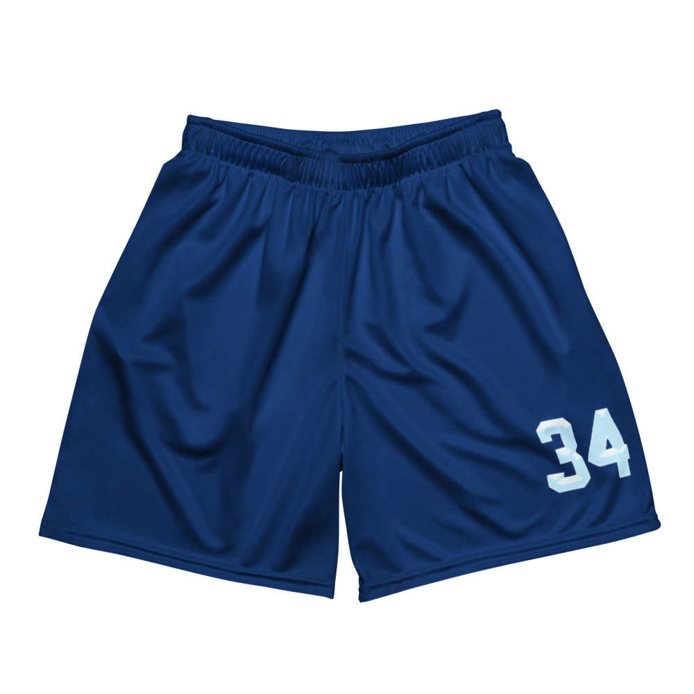 Alvy Serrata | Jersey Style Mesh Shorts