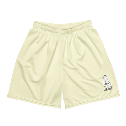 Jameson Sanders | Jersey Style Mesh Shorts