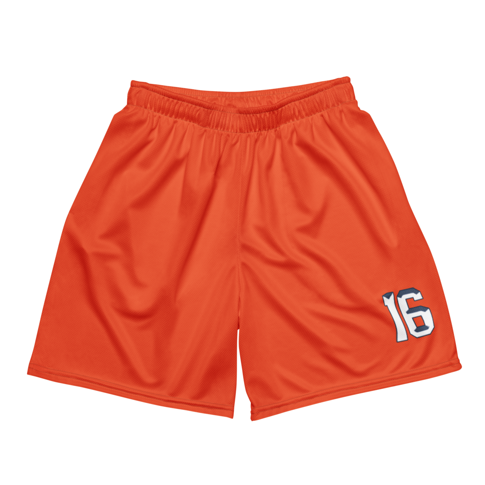 Eliasel Baez | Jersey Style Mesh Shorts