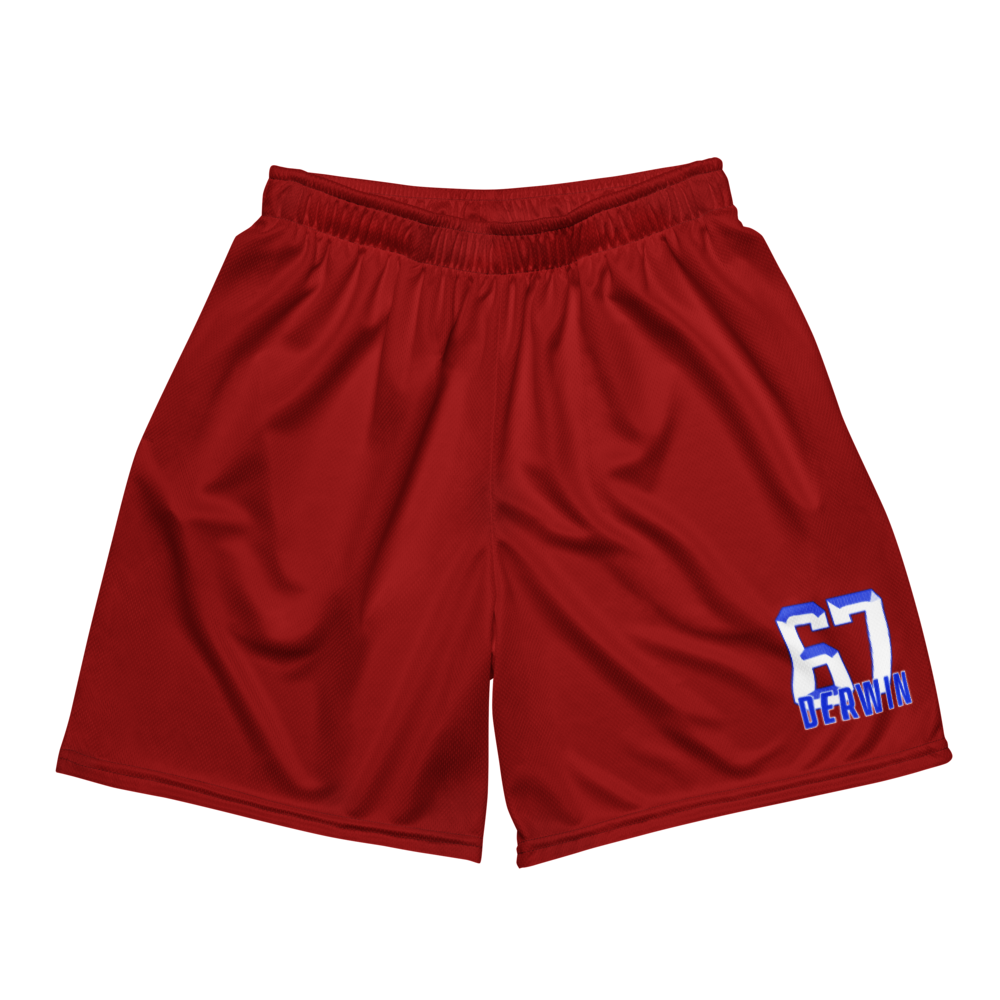 Derwin Jackson | Jersey Style Mesh Shorts
