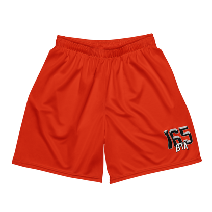 Joseph Saint Melus | Jersey Style Mesh Shorts