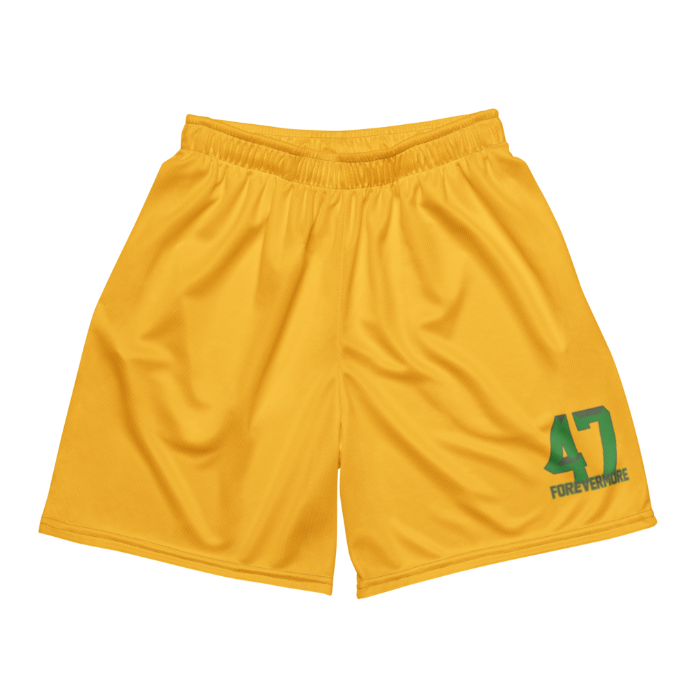 Sincere Harris | Jersey Style Mesh Shorts