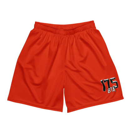 Joseph Saint Melus | Jersey Style Mesh Shorts