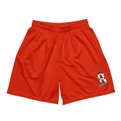 Lilly Shaw | Jersey Style Mesh Shorts