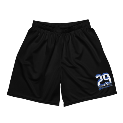Harlen Ferreiras | Jersey Style Mesh Shorts