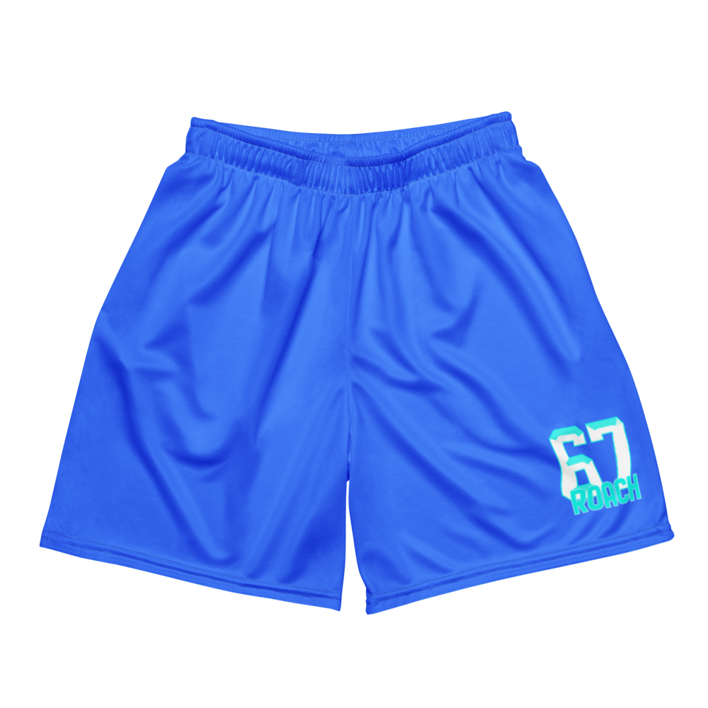 David Roach | Jersey Style Mesh Shorts