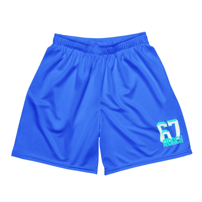 David Roach | Jersey Style Mesh Shorts