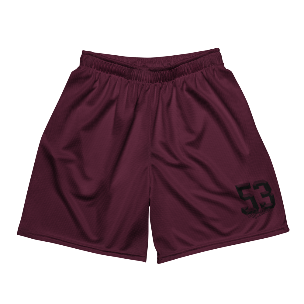 Dylan Berrien | Jersey Style Mesh Shorts