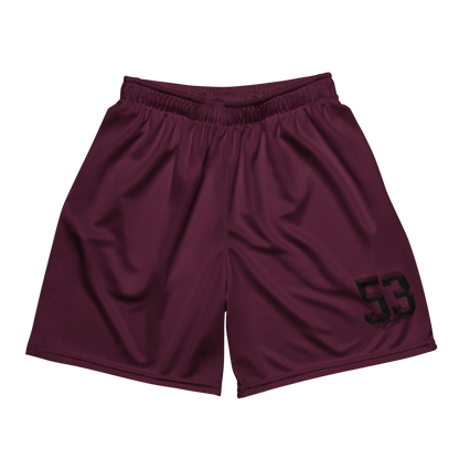 Dylan Berrien | Jersey Style Mesh Shorts