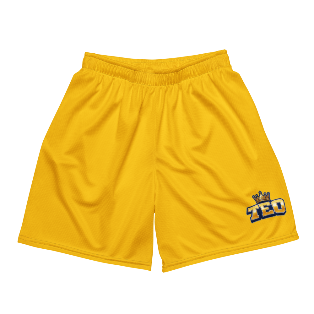 Mateo Hill | Jersey Style Mesh Shorts