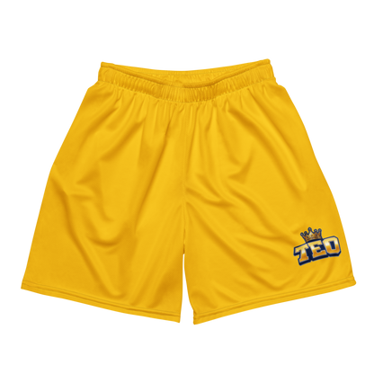 Mateo Hill | Jersey Style Mesh Shorts