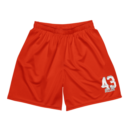 MarQuis Allen | Jersey Style Mesh Shorts