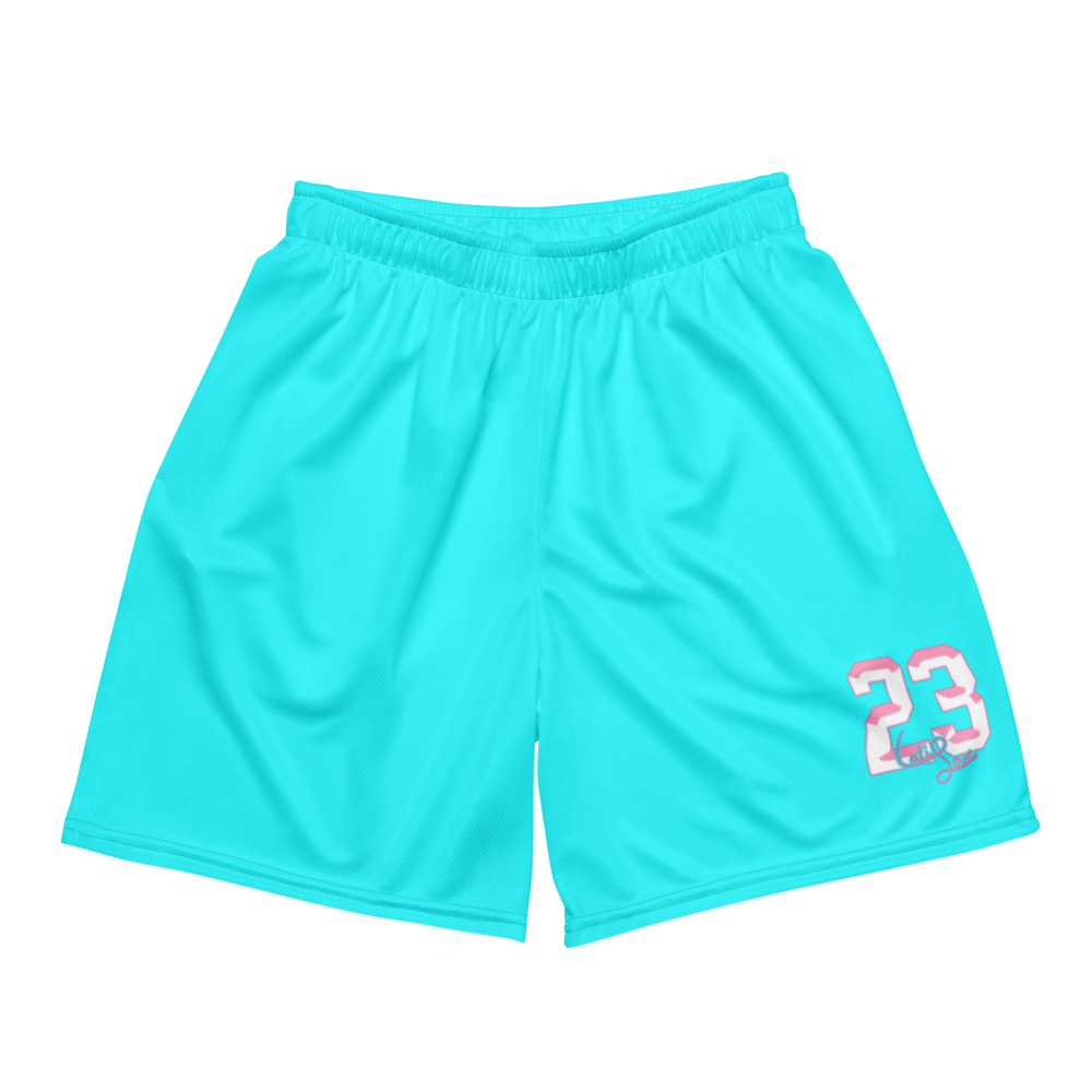 Cali Davis | Jersey Style Mesh Shorts