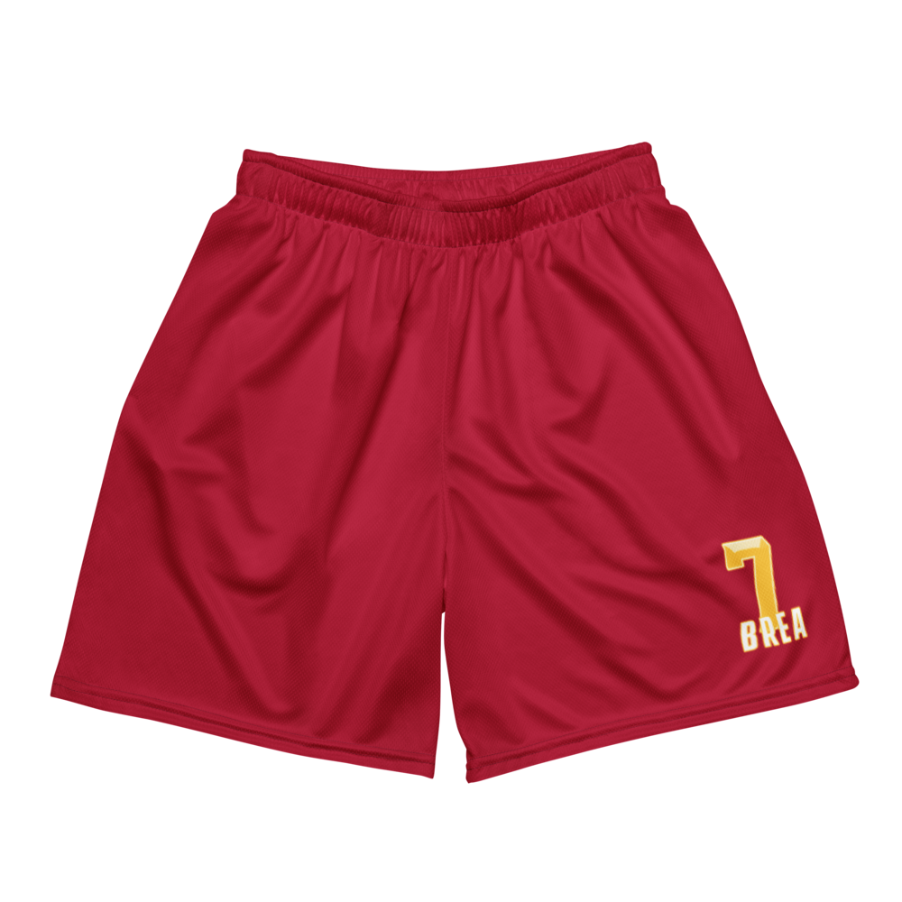 Brea Rashid-Gipson | Jersey Style Mesh Shorts