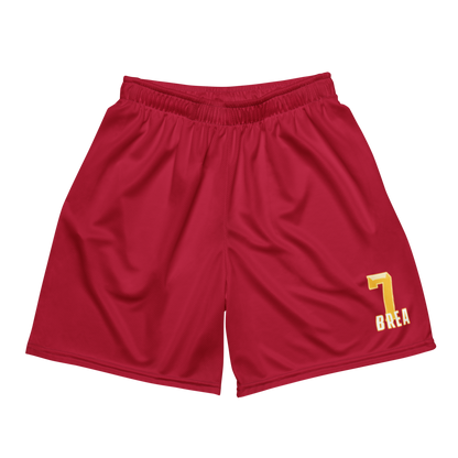 Brea Rashid-Gipson | Jersey Style Mesh Shorts