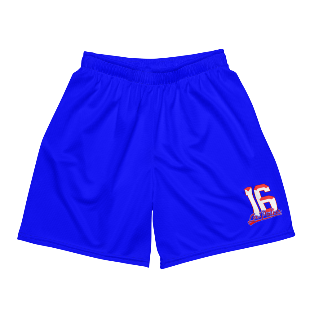 Jonnathan Rabeiro | Jersey Style Mesh Shorts