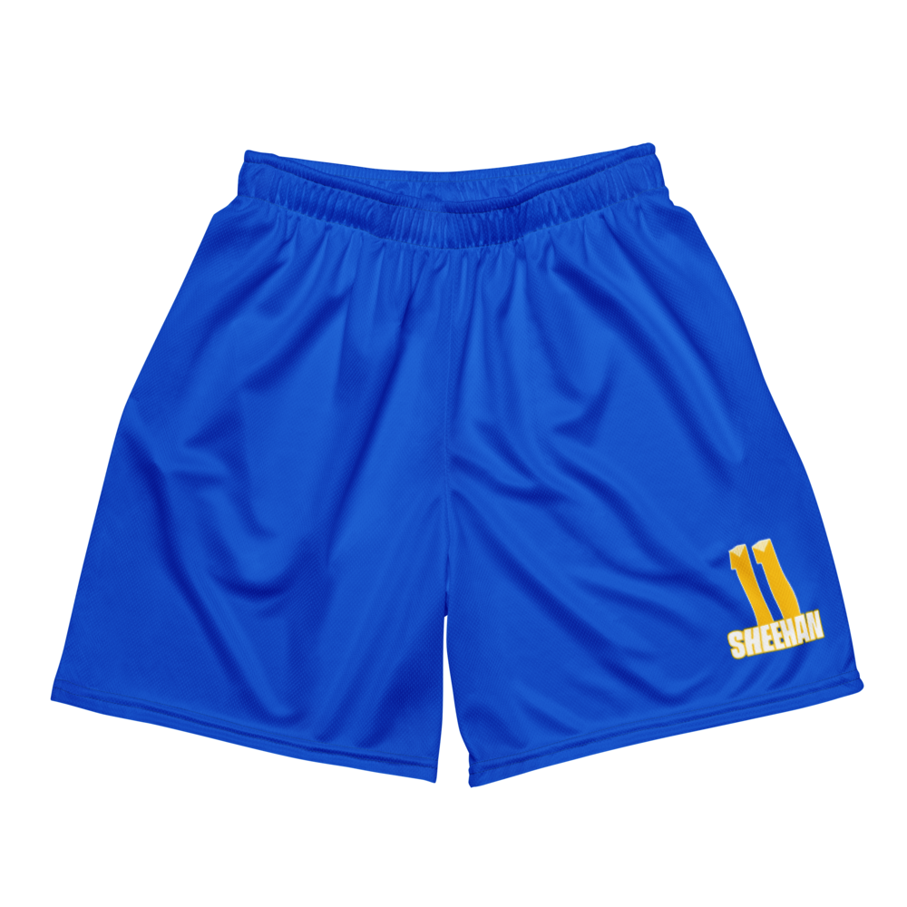 Wes Sheehan | Jersey Style Mesh Shorts