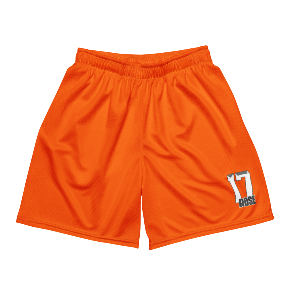 Austin Rose | Jersey Style Mesh Shorts