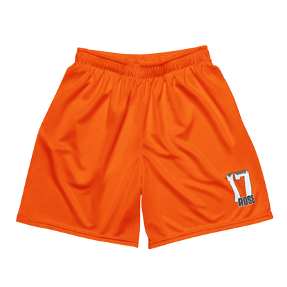 Austin Rose | Jersey Style Mesh Shorts