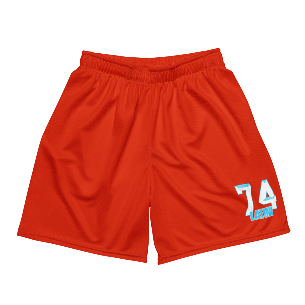 Hezikyah Latini | Jersey Style Mesh Shorts