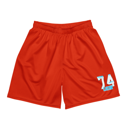 Hezikyah Latini | Jersey Style Mesh Shorts