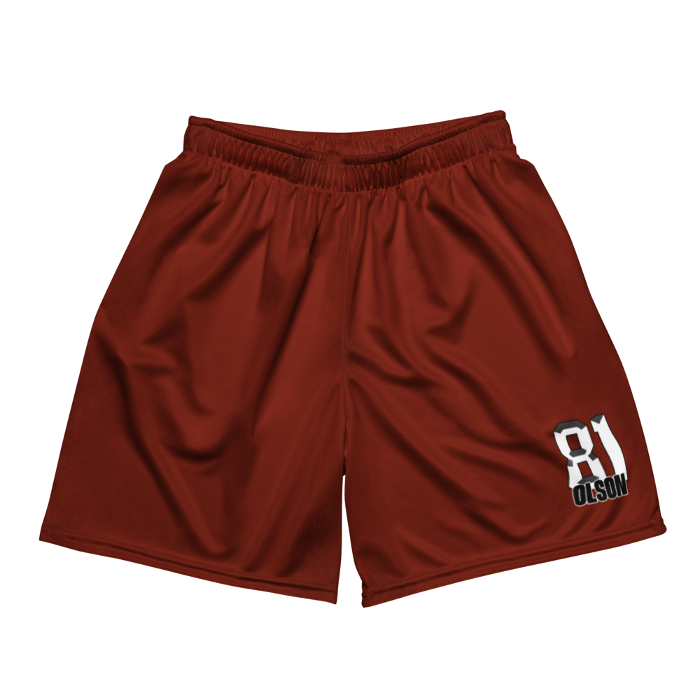 Davis Olson | Jersey Style Mesh Shorts