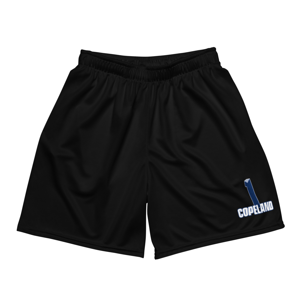 Jaiden Copeland | Jersey Style Mesh Shorts