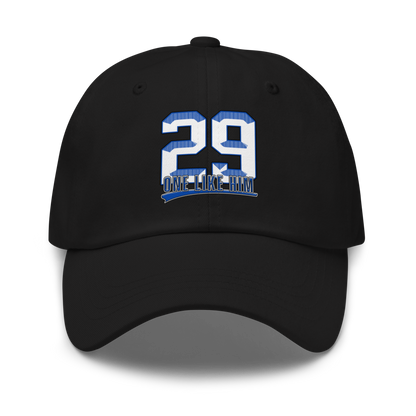 Harlen Ferreiras | Jersey Style Dad Hat