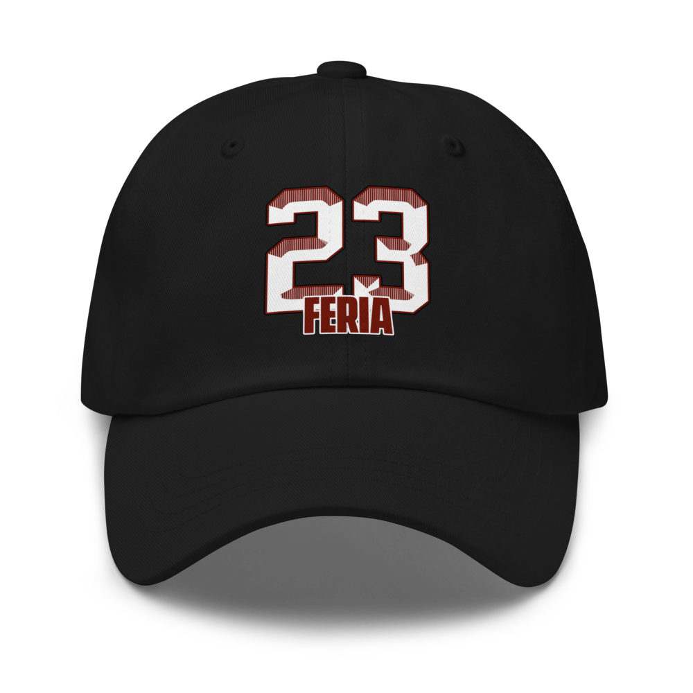 Diana Feria | Jersey Style Dad Hat
