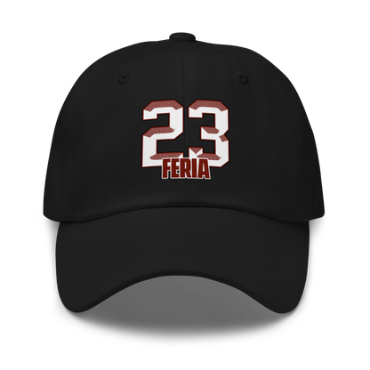 Diana Feria | Jersey Style Dad Hat