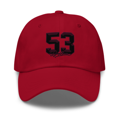 Dylan Berrien | Jersey Style Dad Hat