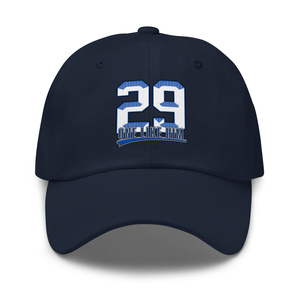Harlen Ferreiras | Jersey Style Dad Hat