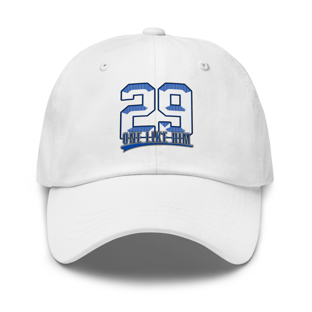 Harlen Ferreiras | Jersey Style Dad Hat