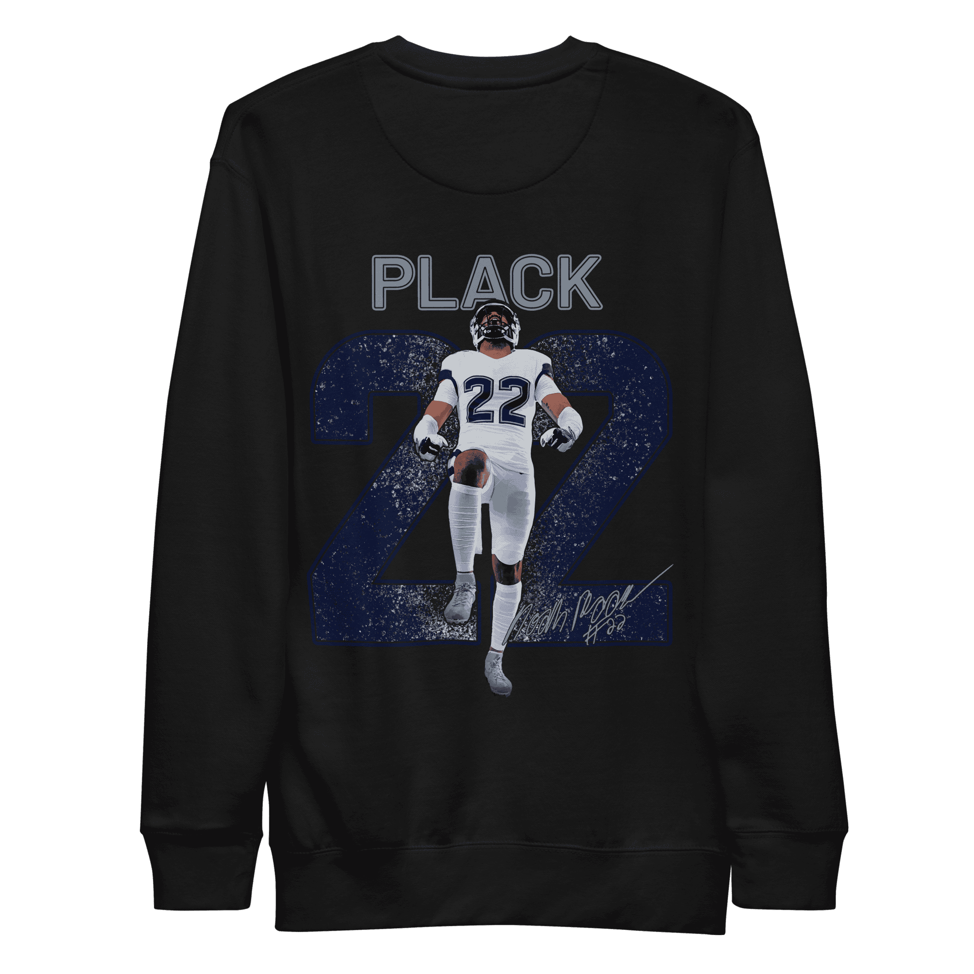 Noah Plack | Mural Crewneck Sweatshirt - Clutch -